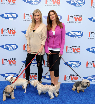 Step and Repeat Backdrop San Diego. Pet Adoption